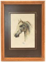 Olvashatatlan jelzéssel: Lófej. Akvarell, papír, keretben, 9,5×6,5 cm