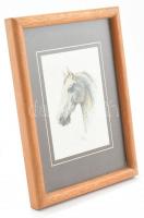 Olvashatatlan jelzéssel: Lófej. Akvarell, papír, keretben, 9,5×6,5 cm