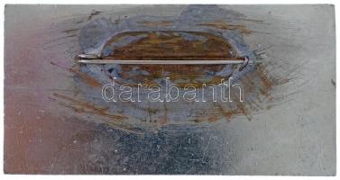 Perecseny, Perechyn, Perecin; Bautlin vegyészeti gyár / chemical factory