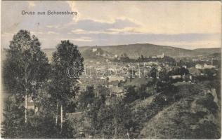 1910 Segesvár, Schässburg, Sighisoara; látkép. Fritz Teutsch kiadása / general view (fa)