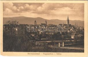 1915 Nagyszeben, Hermannstadt, Sibiu; látkép. Verlag Emil Fischer Hofphotograph. Druck v. Jos. Drotleff / general view (EM)