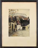 Paulovits Pál (1892-1975): Utolsó levelek, Tabán. Színezett rézkarc, papír, jelzett, üvegezett keretben, lap teteje kissé foltos, 29,5×23 cm
