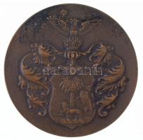 1934. "Stadionavatás 1934. VI. 2-10. Debrecen" Br emlékérem (58mm) T:2