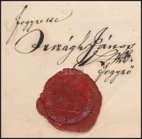 1867 Pócsmegyer község viaszpecsétes bizonyítványa orvos részére