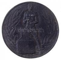 Renner Kálmán (1927-1994) 1961. "Bors János" Fe plakett (91mm) T:2