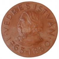 DN Vedres István 1765-1830 egyoldalas kerámia emlékérem (115mm) T:2