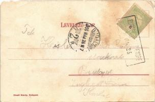 1906 Szentendre, Szent-Endre; Római katolikus templom. Divald Károly kiadása (b)