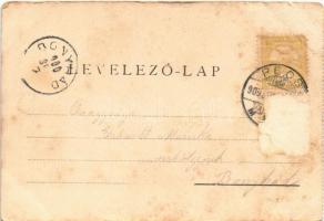 1900 Pécs, Megyei árvaház. Fischer Ferenc kiadása (vágott / cut)