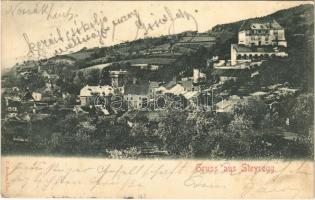 1904 Steyregg (wet damage)