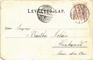 1899 Pécs, Új takarékpénztár, Kis Zsigmond, Tauszig Ármin üzlete. Fischer Ferenc kiadása. Szecesszió...