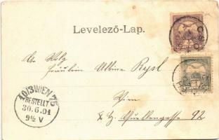 1901 Pápa, Római katolikus nagy templom a kastélyból tekintve (gyűrődés / crease)