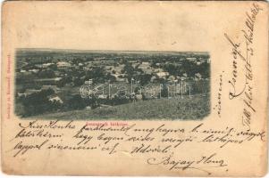 1899 Isaszeg, látkép. Szénásy és Reimann kiadása (Rb)