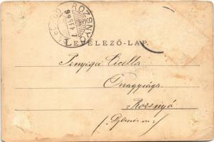 1899 Isaszeg, látkép. Szénásy és Reimann kiadása (Rb)