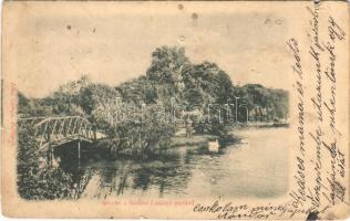 1901 Nádasdladány, Nádasd-Ladány; Gróf Nádasdy kastély parkja. Klösz György kiadása (lyuk / pinhole)