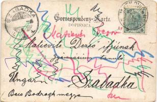 1902 Mostar, Gymnasium, Hauptstrasse / grammar school, main street. Art Nouveau, floral (tear)