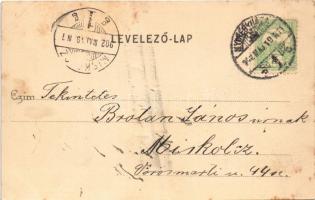 1902 Nyíregyháza, Vármegyeháza. Piringer János kiadása (r)