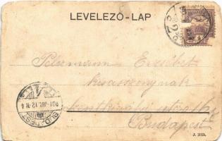 1901 Diósgyőr (Miskolc), Diósgyőri Acélgyár, igazgatósági épület. Ferenczi B. kiadása (b)