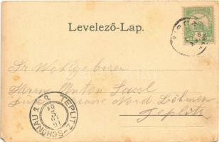 1901 Zirc, látkép. Maudausz János kiadása (EM)