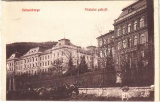 Selmecbánya, Schemnitz, Banská Stiavnica; Főiskolai paloták, M. kir. bányászati és erdészeti főiskola / mining and forestry school (képeslapfüzetből / from postcard booklet)