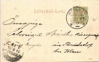 1904 Szolnok, Tiszai részlet, templomok, zsinagóga. Szigeti H. udvari fényképész kiadása (fl)