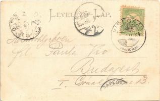 1904 Visegrád, várrom. M. Heinczinger jr. kiadása (EK)