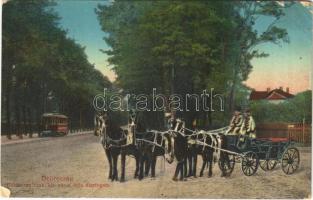 1917 Debrecen, Debreczen szabad királyi város ötös díszfogata, villamos. Vasúti levelezőlapárusítás 49. sz. (EB)
