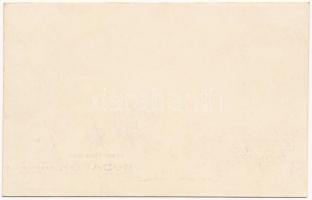 Budapest XXII. Budafok, Kremer Fülöp szőlőnagybirtokos telepe, vadkert, Új-Léta, vasútállomás. Pauke...