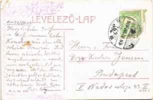 1909 Trencsén, Trencín; folyópart, szélmalom, vár. W.L. Bp. 5764. / riverside, windmill, castle (EK)