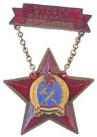 ~1950. Szakma Kiváló Dolgozója - Gépipar Rákosi-címeres zománcozott és aranyozott fém kitüntetés, hátoldalán 51848 sorszámmal T:2