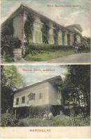 1912 Marosillye, Ilia; Báró Bornemissza kastély, Bethlen Gábor szülőhelye. Weisz János kiadása / castle, birth house of Bethlen