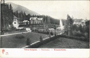 Tátraszéplak, Tatranska Polianka, Westerheim (Magas-Tátra, Vysoké Tatry); Feitzinger Ede 1904/14. 758. A.J.