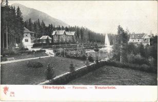 Tátraszéplak, Tatranska Polianka, Westerheim (Magas-Tátra, Vysoké Tatry); Feitzinger Ede 1904/14. 75...