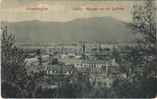 1910 Boksánbánya, Németbogsán, Deutsch-Bogsan, Bocsa Montana; látkép. W.L. 125. / Aussicht von der Lufthütte