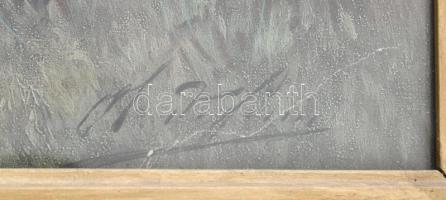 Olvashatatlan jelzéssel: Vadászok kutyákkal. Litográfia, papír, jelzett a litográfián. Üvegezett, ré...