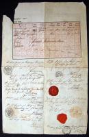 1854 Útlevél 30 kr szignettával Bars vármegye, sok pecséttel / Passport with 30 kr signetta Bars cou...