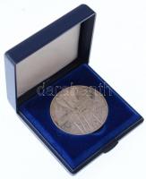 1991. 500Ft Ag "II. János Pál pápa látogatása" dísztokban T:PP patina Adamo EM120