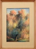 Szórád jelzéssel: Erdőszéle. Akvarell, papír. Üvegezett fa keretben. 33,5×24 cm