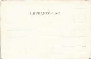 Budapest, Ferenc József híd és Gellérthegy. Schmidt Edgar (kopott sarkak / worn corners)