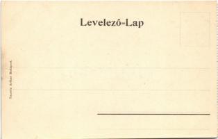 Budapest, Ferenc József híd, villamos. Taussig Arthur 5068