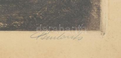 Paulovits Pál (1892-1975): Parti fák. Színezett rézkarc, papír, jelzett, üvegezett fa keretben. Lap ...