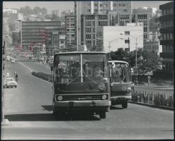 cca 1970 Budapest, 31-es autóbusz, Ikarus, sajtófotó, hátoldalon sérüléssel, felületén halvány piros foltokkal, 9×11 cm