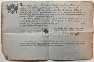 1801 Önkéntes katona leszerelő és útlevele / Disarming letter