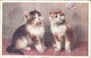 1918 Macskák / Cats. B.K.W.I. 354-1.