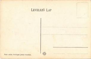 Mecenzéf, Alsómecenzéf, Metzenzéf, Nizny Medzev; Felső, Alsó és Grund utca, Lucia bánya, Fő tér, Sug...