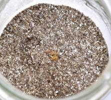 Kis adag ezüst ill. aranypor