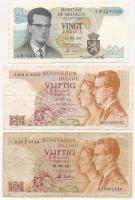 Belgium 1964. 20Fr + 1966. 50Fr (2x) T:III egyiken tűlyukak Belgium 1964. 20 Francs + 1966. 50 Francs (2x) C:F one with pin holes