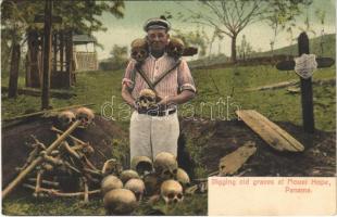Panama, Digging old graves at Mount Hope, man with skulls / régi sírokat kiásva koponyákkal pózoló férfi