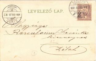 1900 Art Nouveau lady, litho (fl)