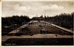 Szolnok park