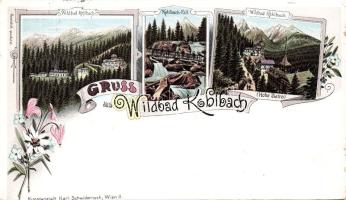 1899 Hidegpatak litho (Rb)